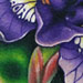 tattoo galleries/ - purple iris